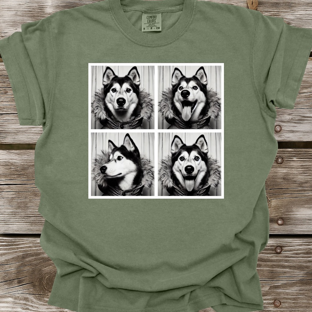 Husky Photo Shoot T-Shirt