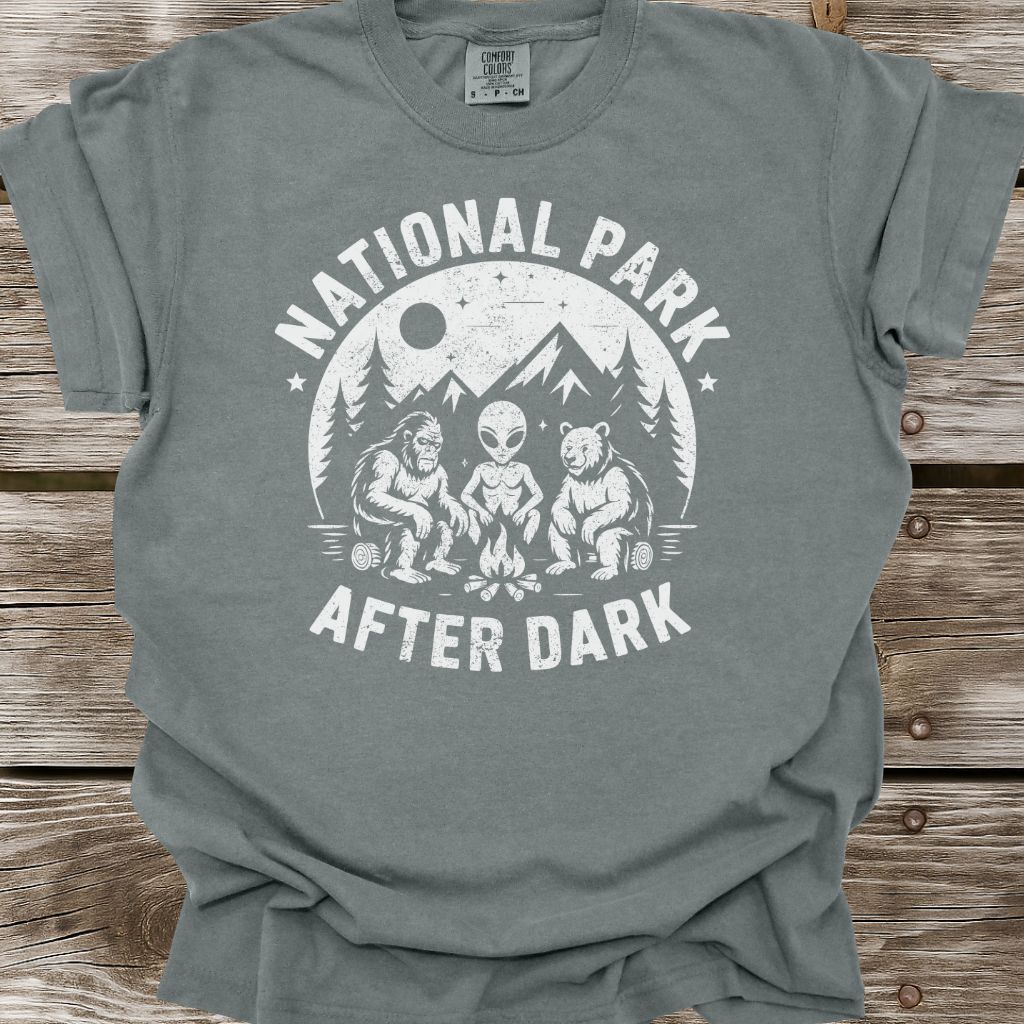 National Park After Dark T-Shirt