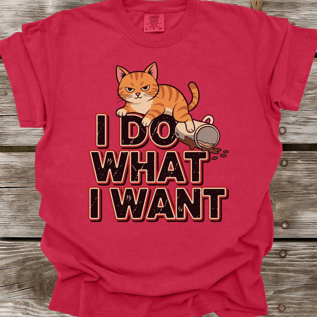 I Do What I Want T-Shirt