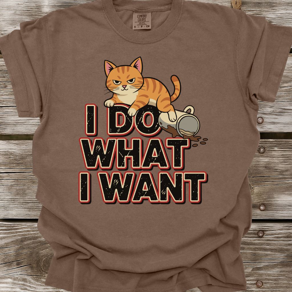 I Do What I Want T-Shirt