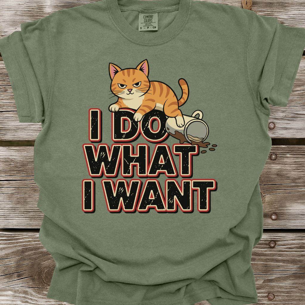 I Do What I Want T-Shirt