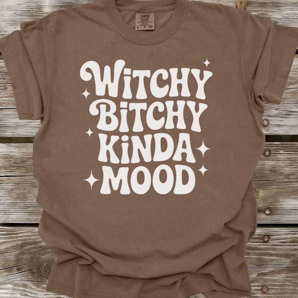 Witchy Bitchy Kinda Mood T-Shirt