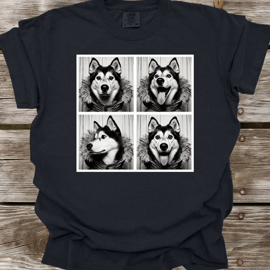 Husky Photo Shoot T-Shirt