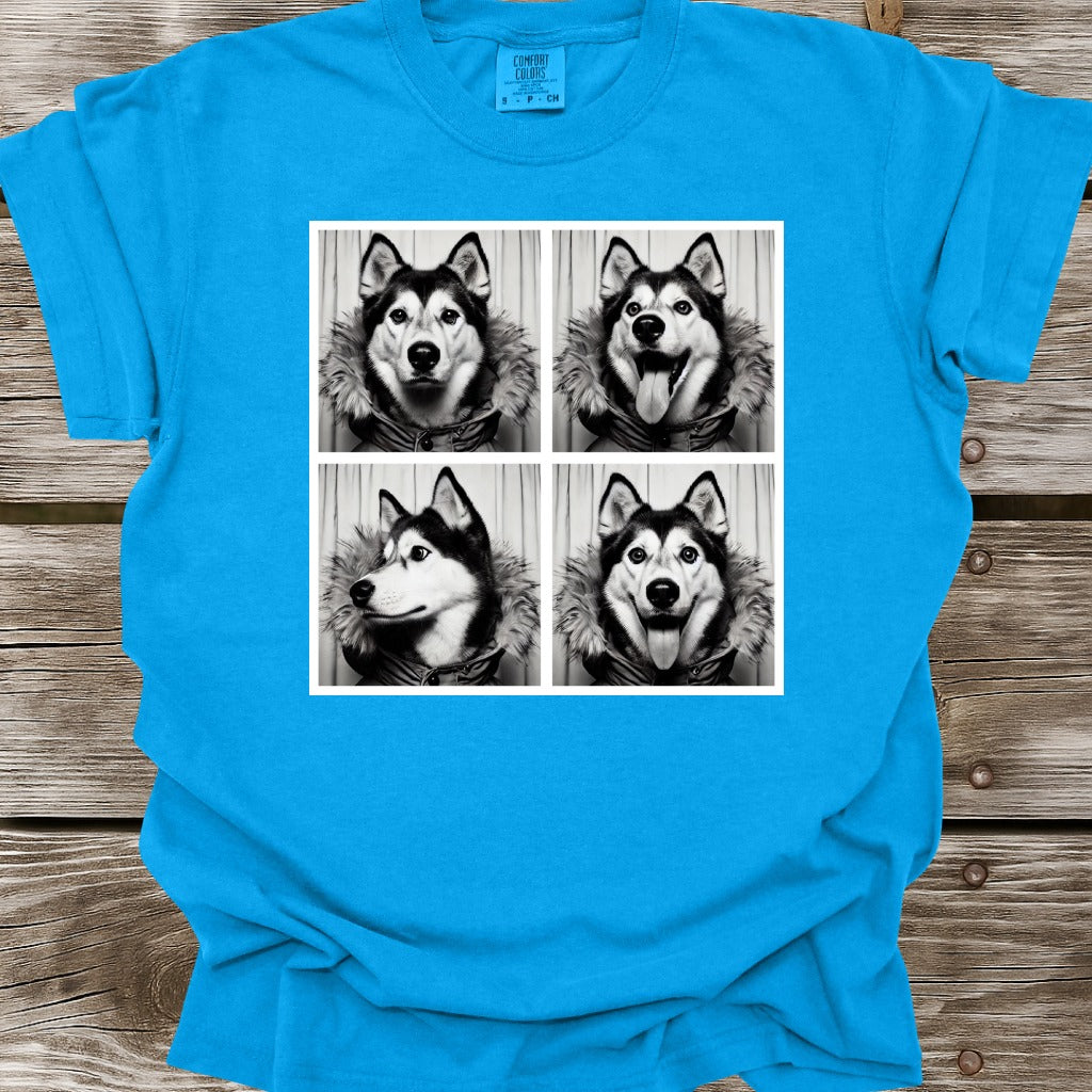 Husky Photo Shoot T-Shirt