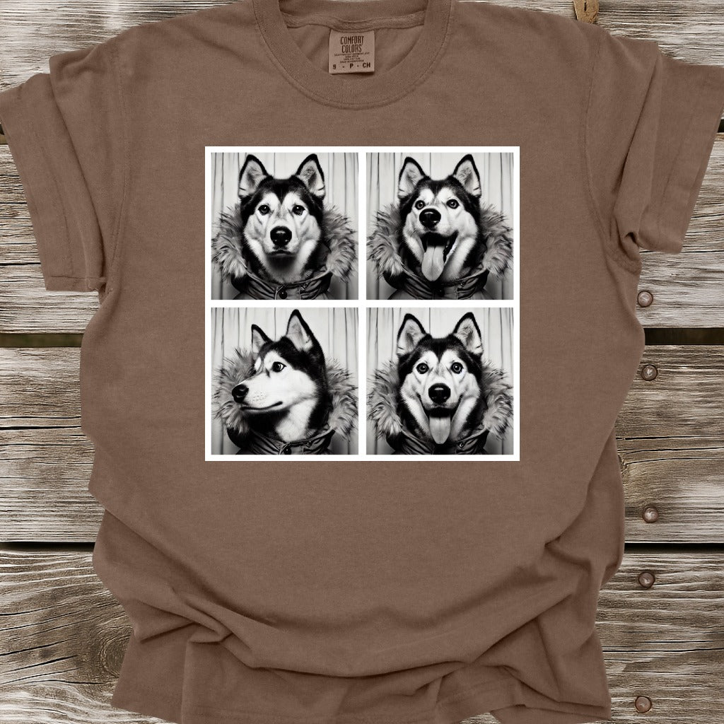 Husky Photo Shoot T-Shirt