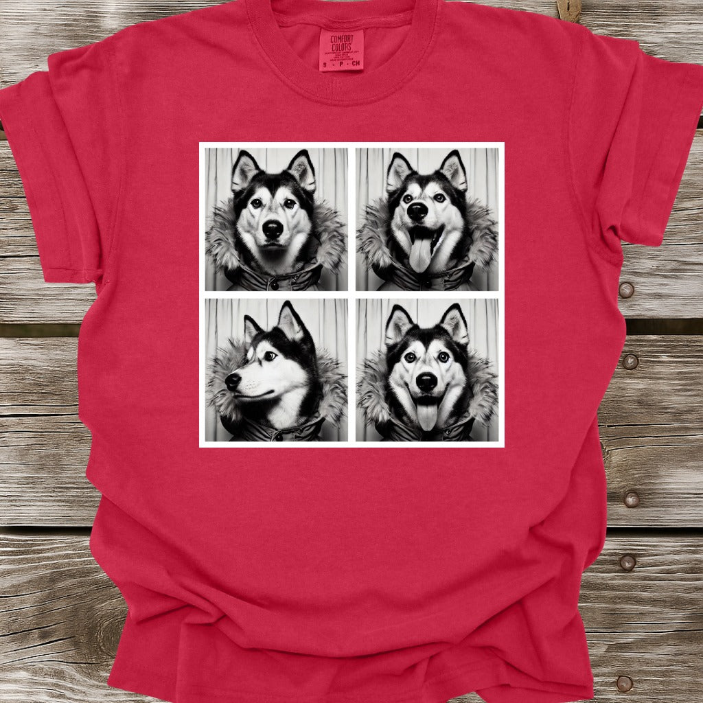 Husky Photo Shoot T-Shirt