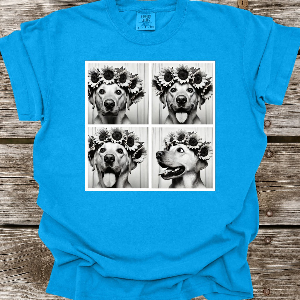 Golden Labrador Retriever Photo Shoot T-Shirt