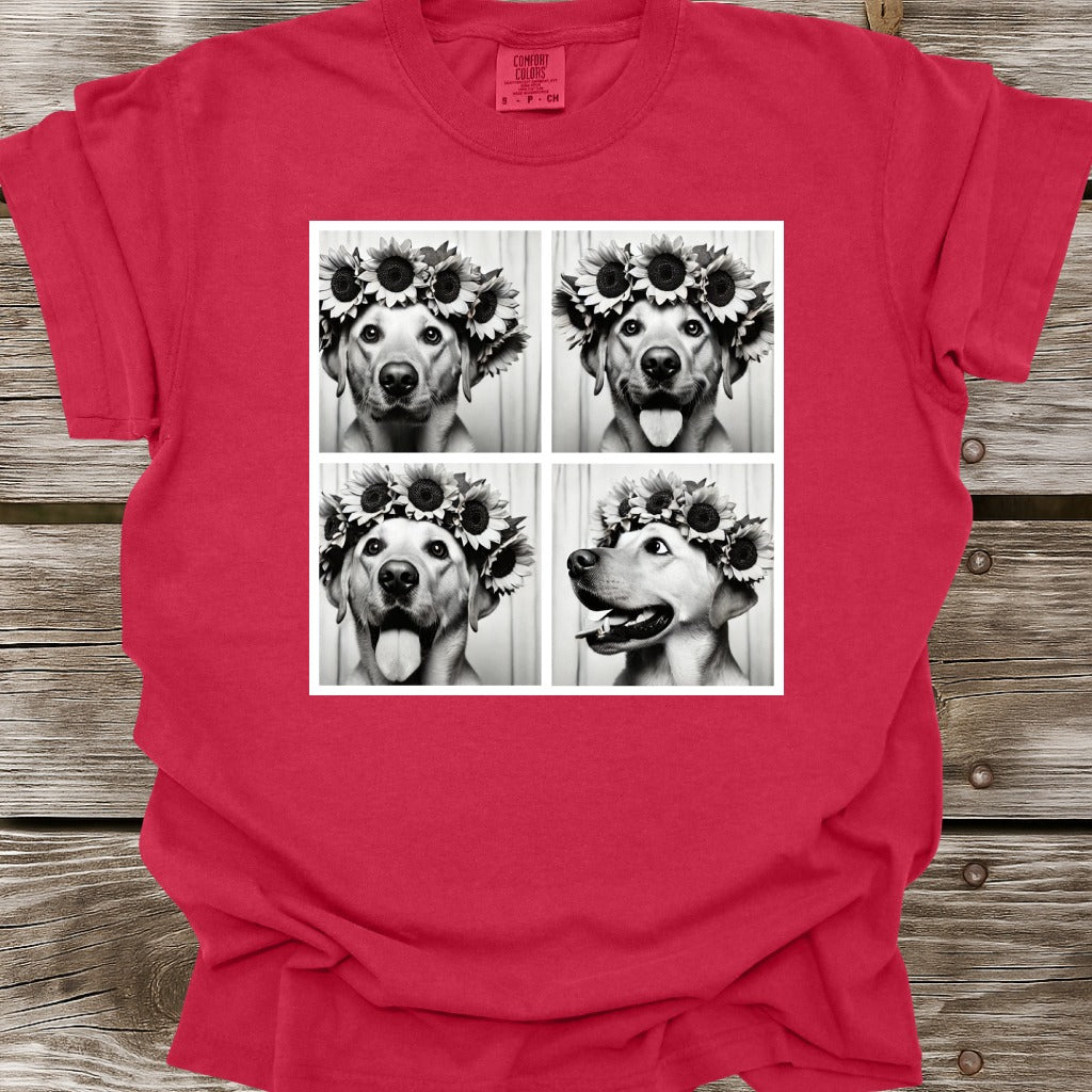 Golden Labrador Retriever Photo Shoot T-Shirt