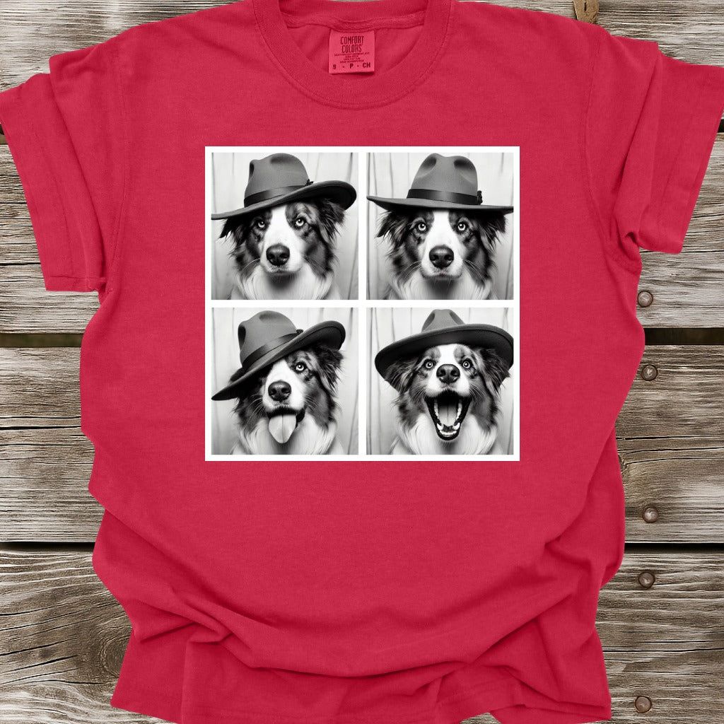 Australian Shepherd Photo Shoot T-Shirt