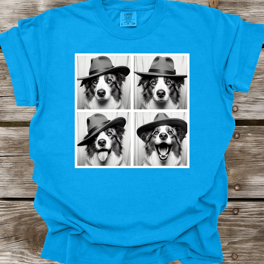 Australian Shepherd Photo Shoot T-Shirt