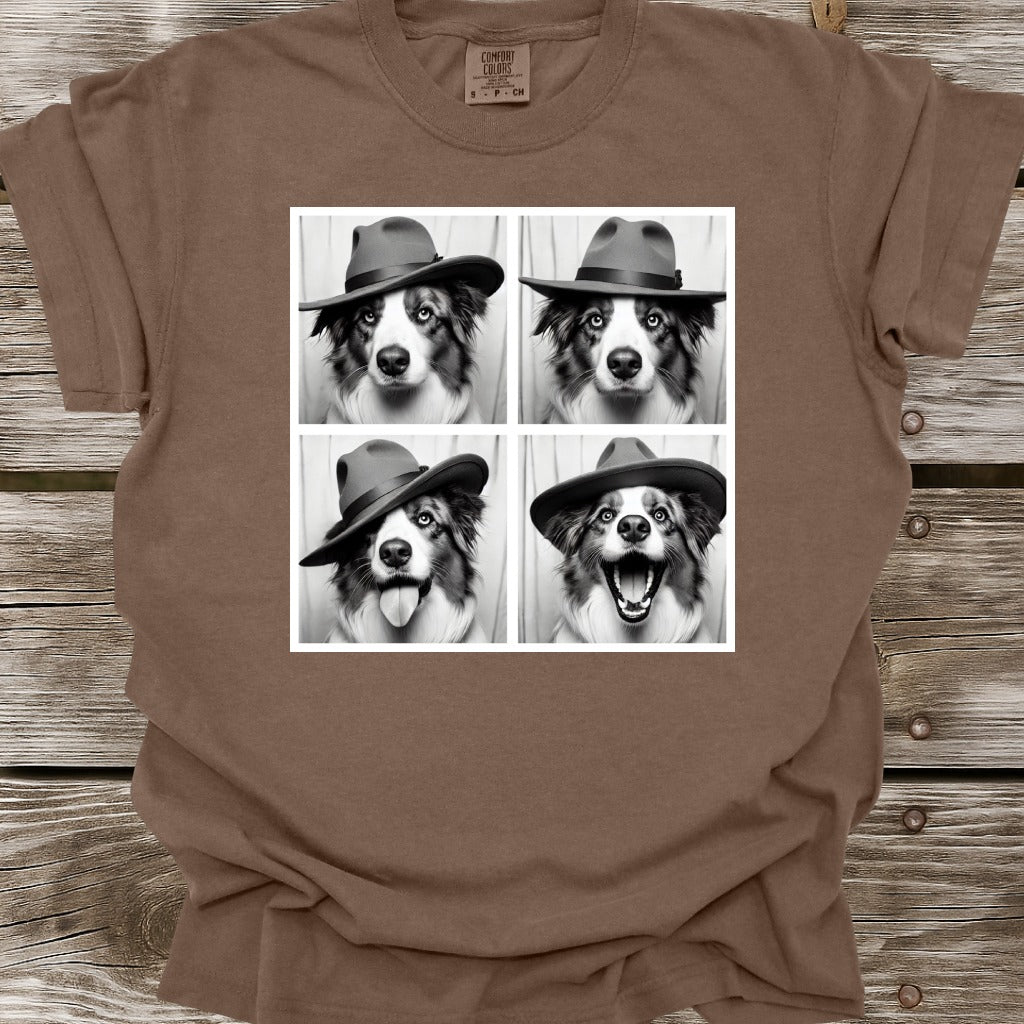 Australian Shepherd Photo Shoot T-Shirt