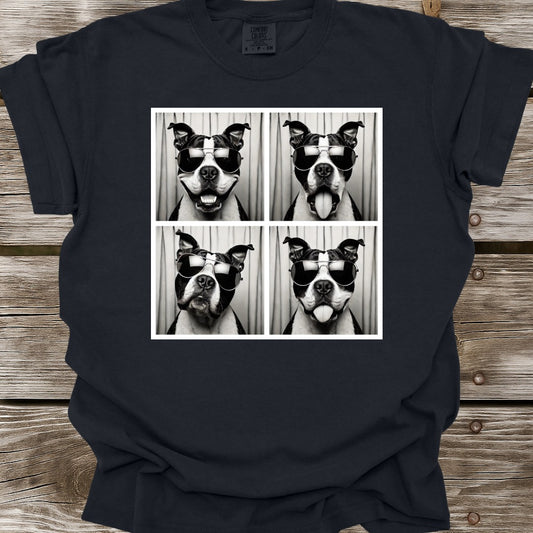 American Bully Photo Shoot T-Shirt