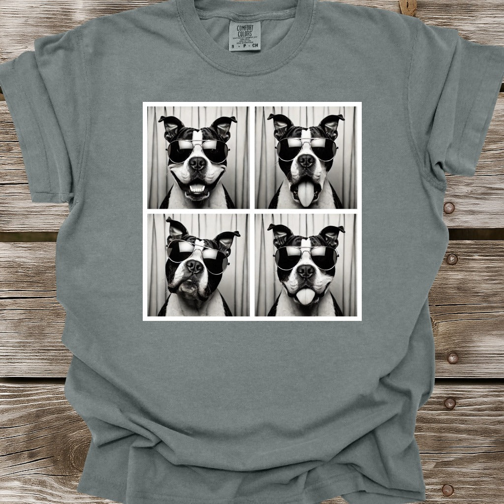 American Bully Photo Shoot T-Shirt