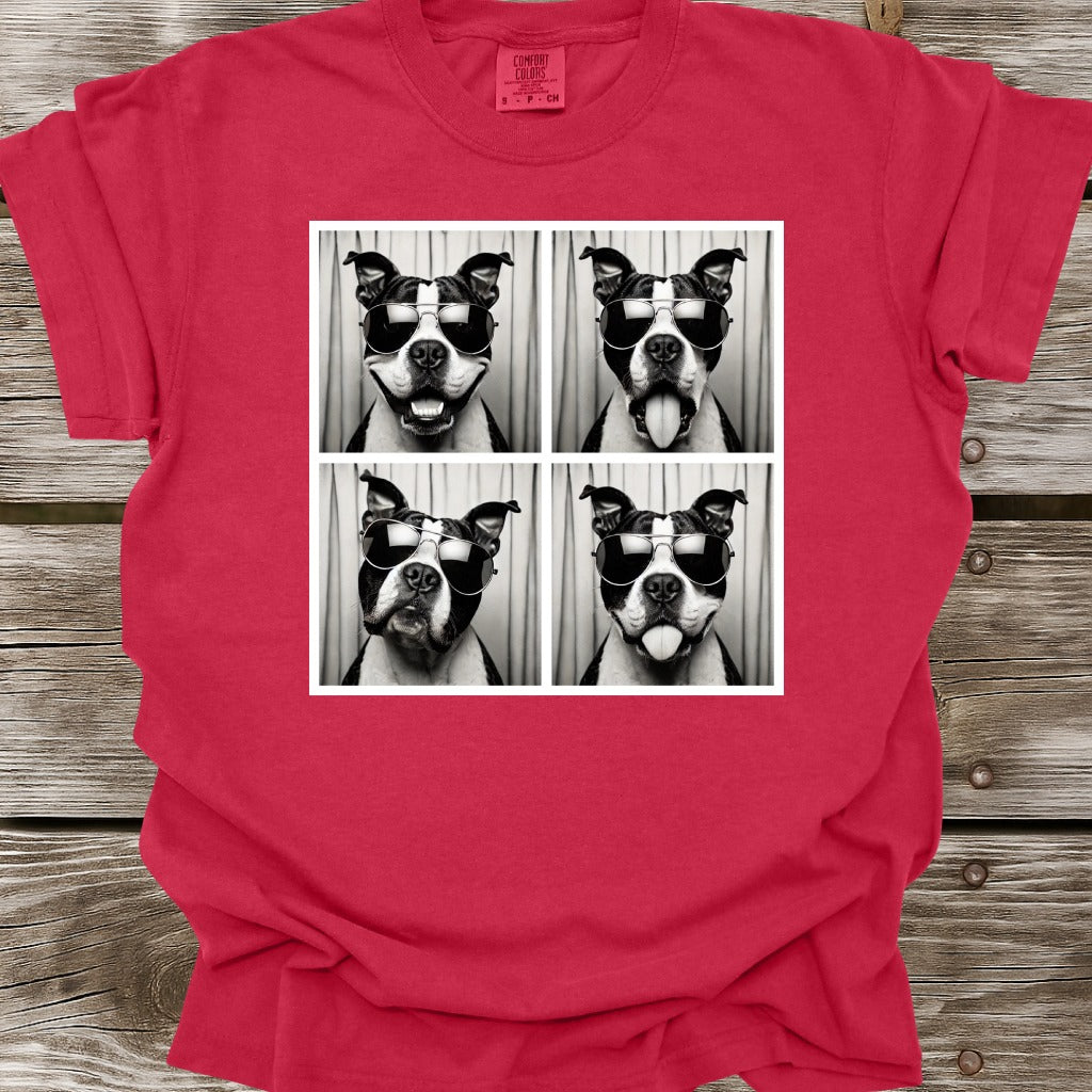 American Bully Photo Shoot T-Shirt