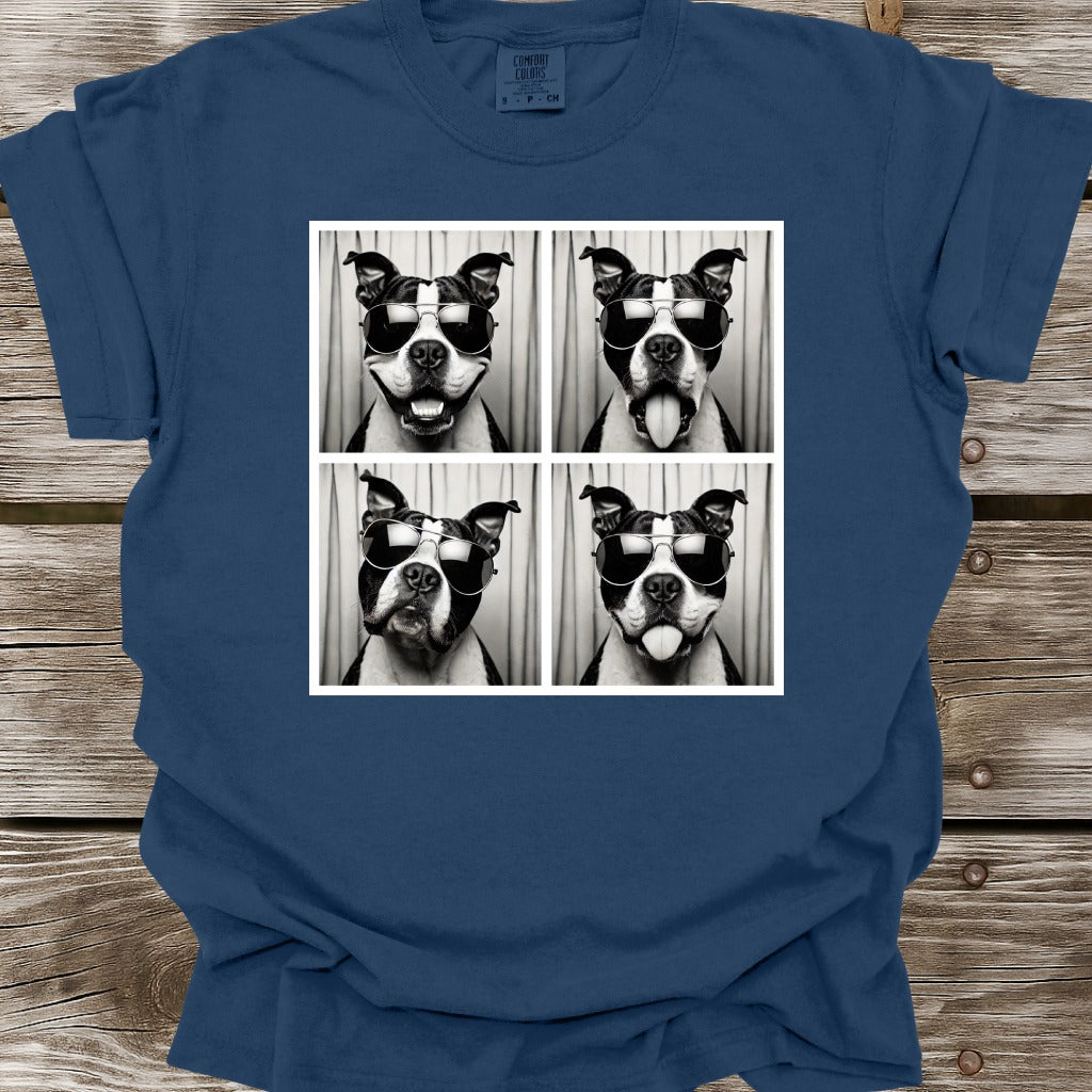 American Bully Photo Shoot T-Shirt