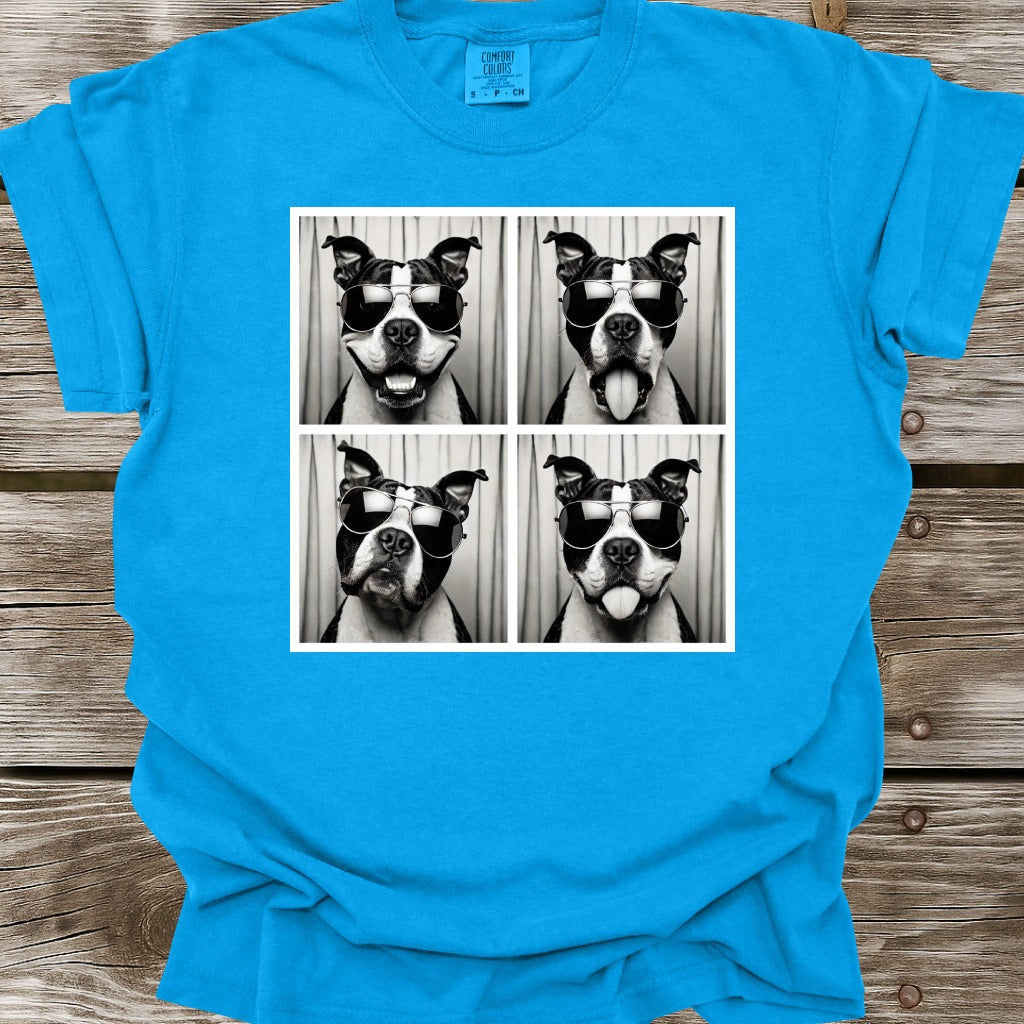 American Bully Photo Shoot T-Shirt