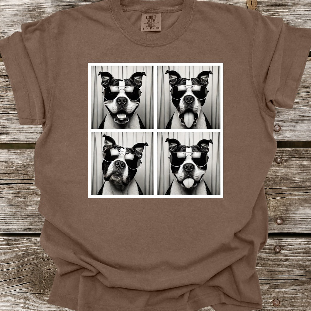 American Bully Photo Shoot T-Shirt