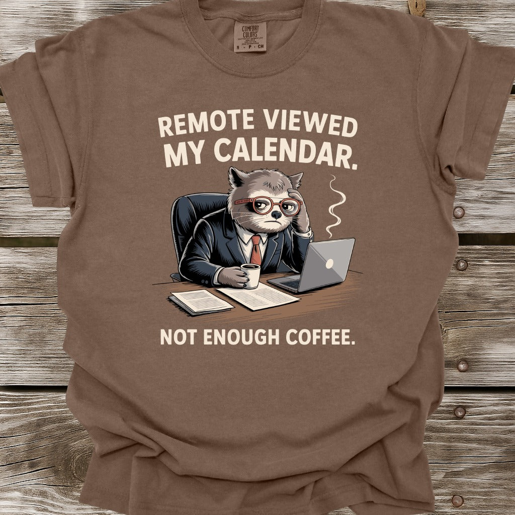 Remote Viewed My Calendar T-Shirt