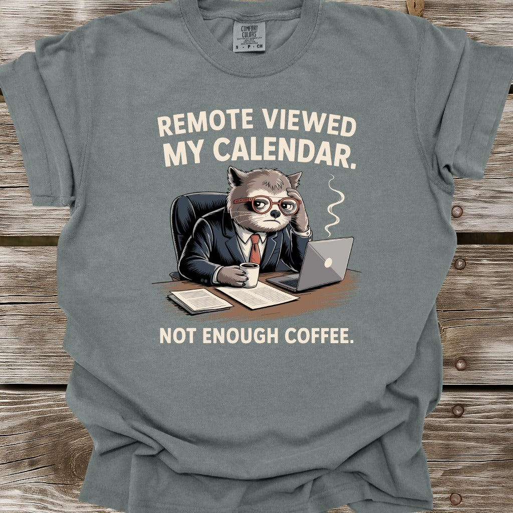 Remote Viewed My Calendar T-Shirt