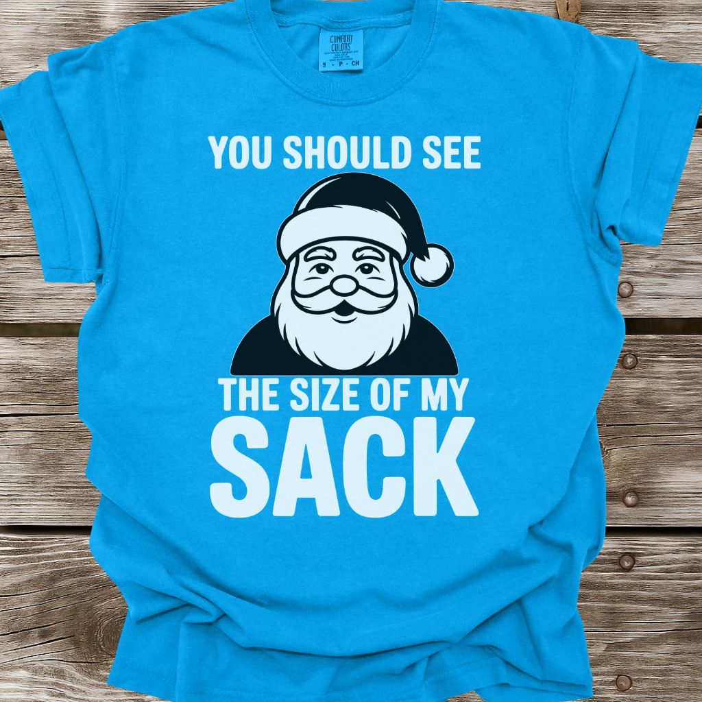 Size Of My Sack T-Shirt