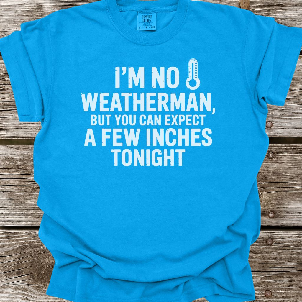 A Few Inches T-Shirt