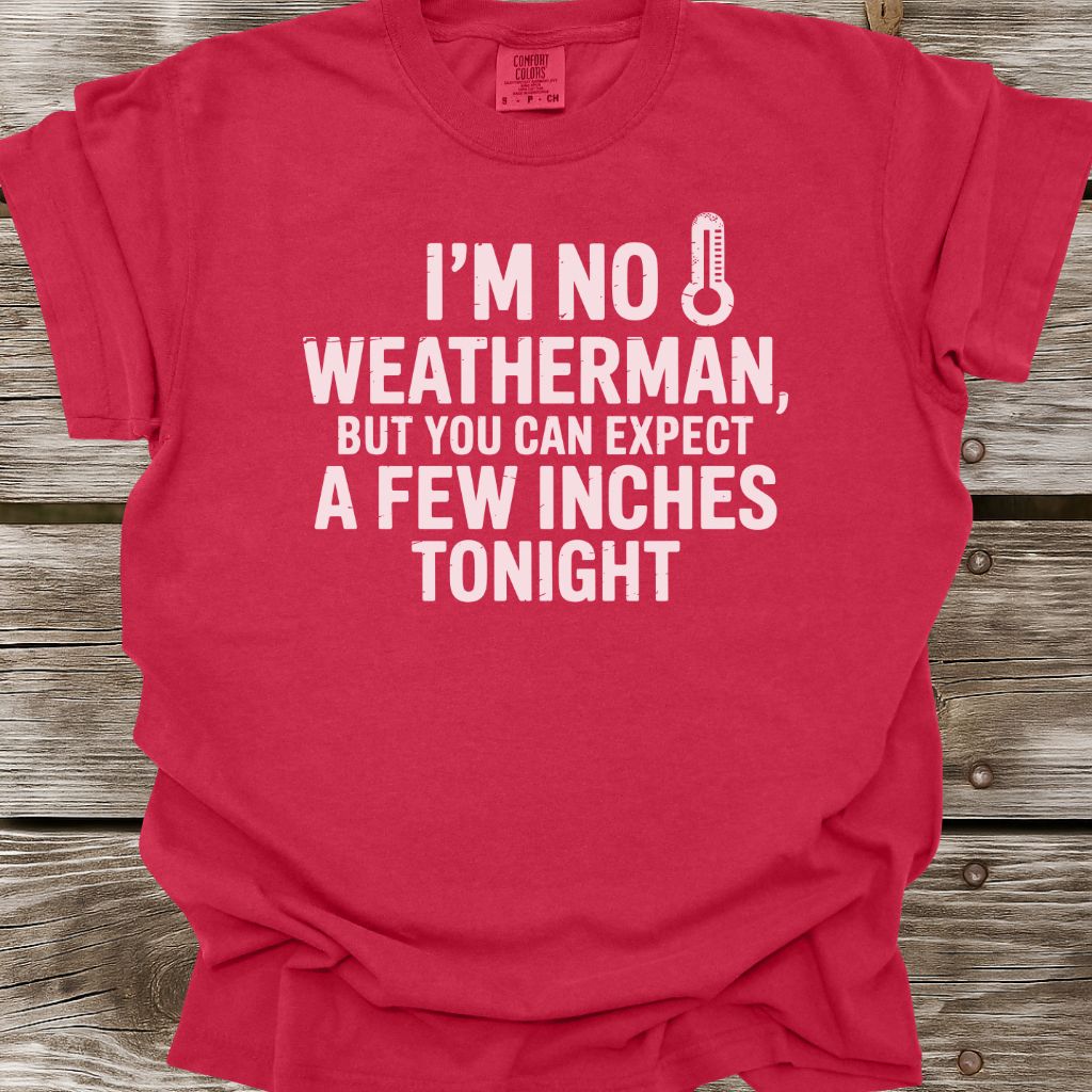 A Few Inches T-Shirt