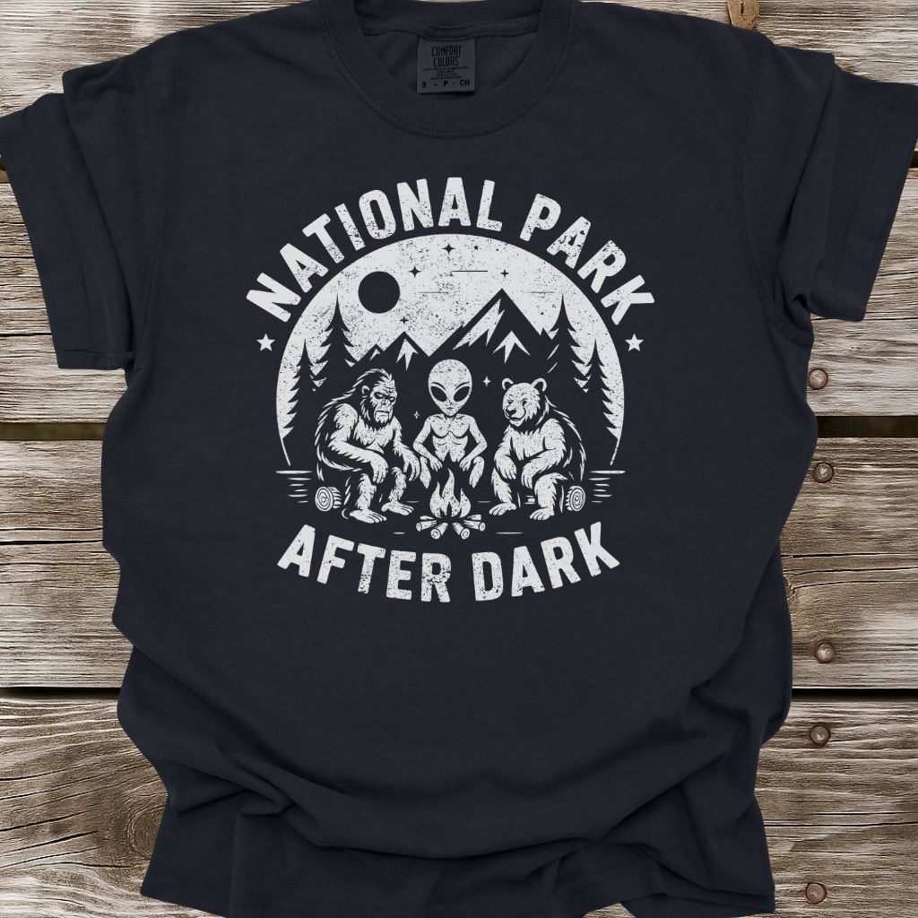 National Park After Dark T-Shirt