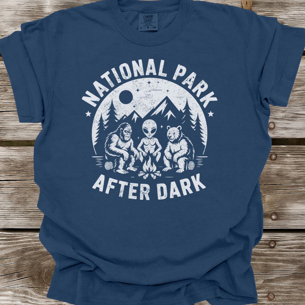 National Park After Dark T-Shirt