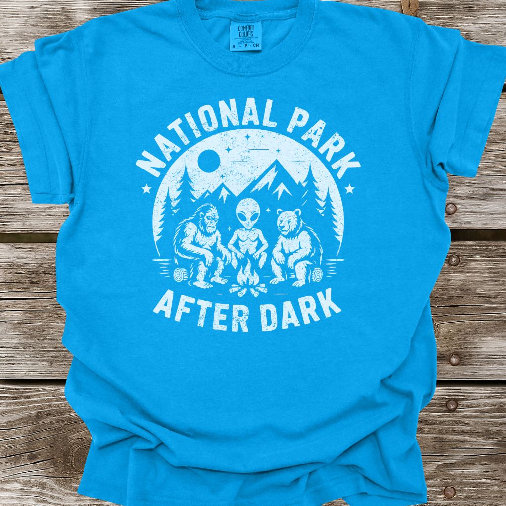 National Park After Dark T-Shirt