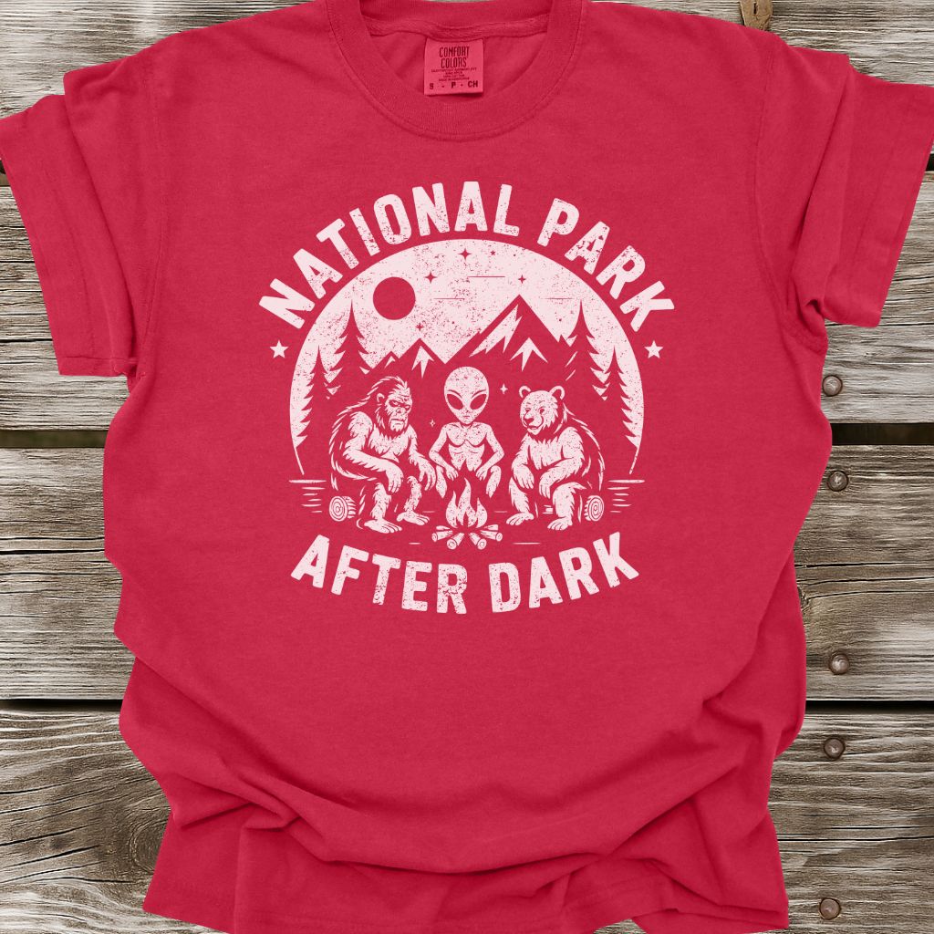 National Park After Dark T-Shirt