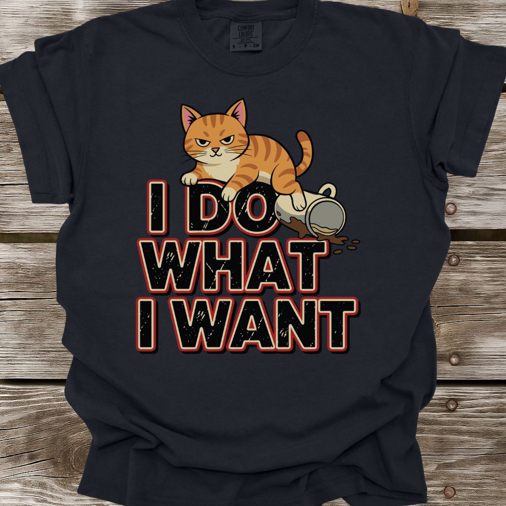 I Do What I Want T-Shirt
