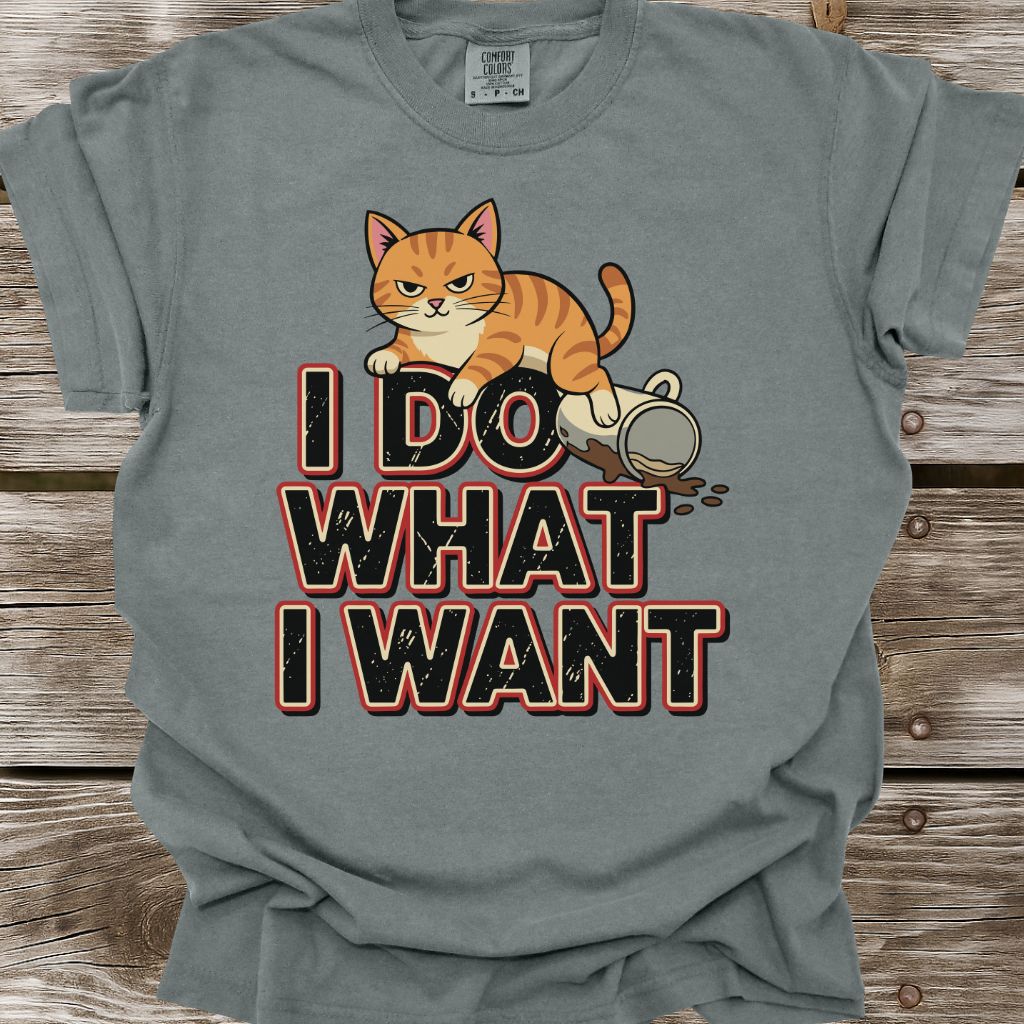I Do What I Want T-Shirt