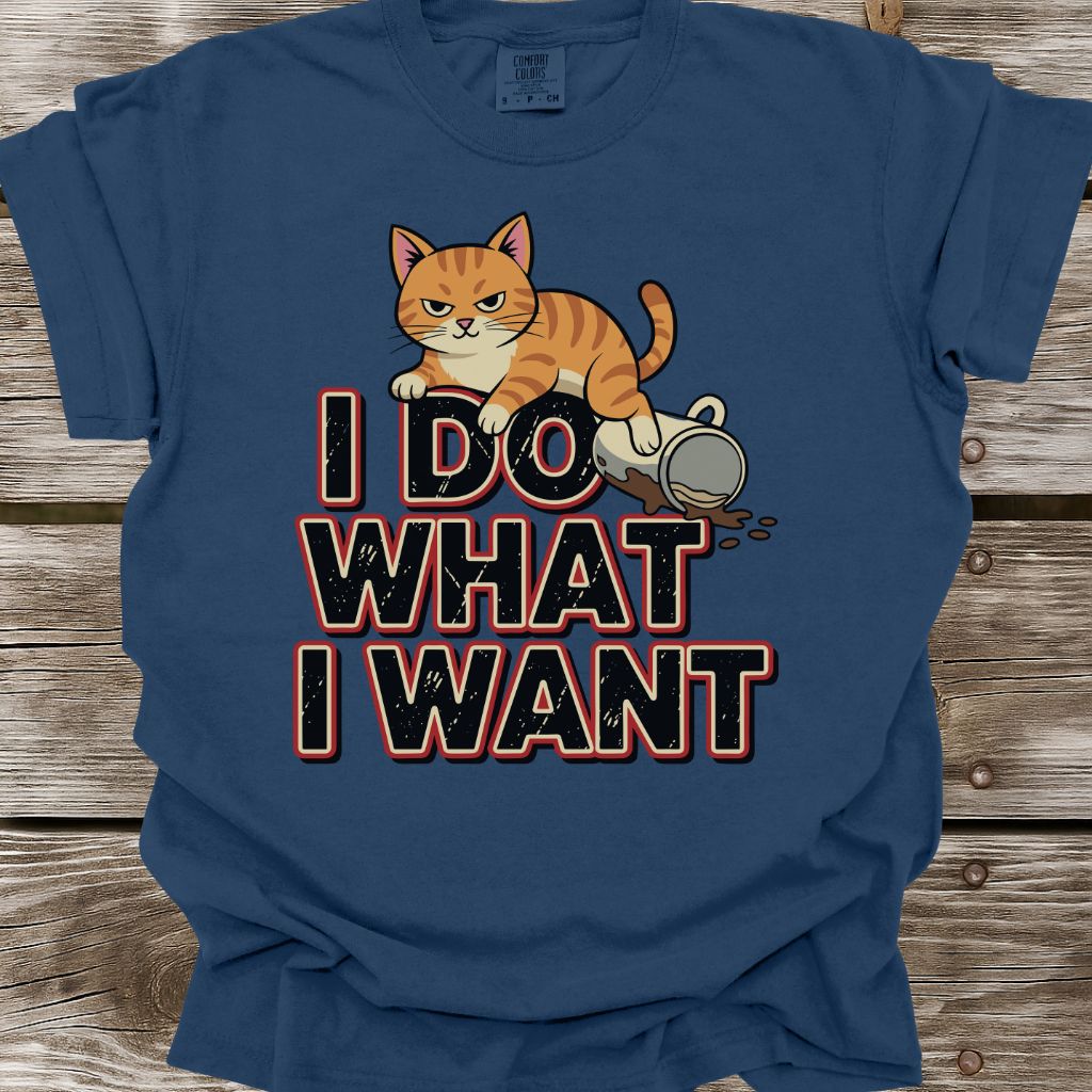 I Do What I Want T-Shirt