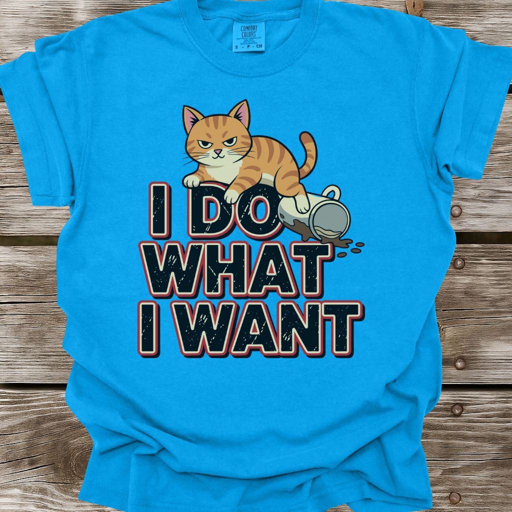 I Do What I Want T-Shirt