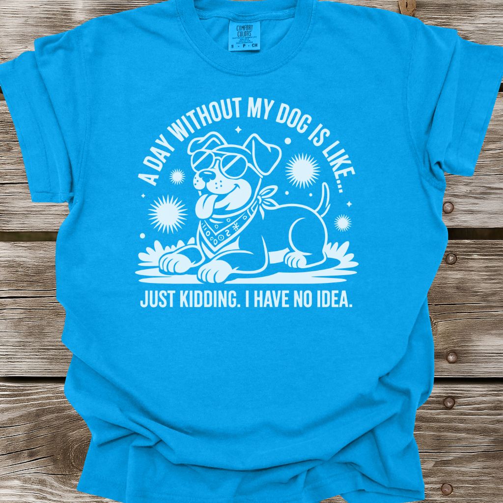 A Day Without My Dog T-Shirt