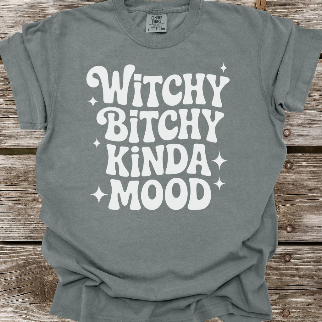 Witchy Bitchy Kinda Mood T-Shirt