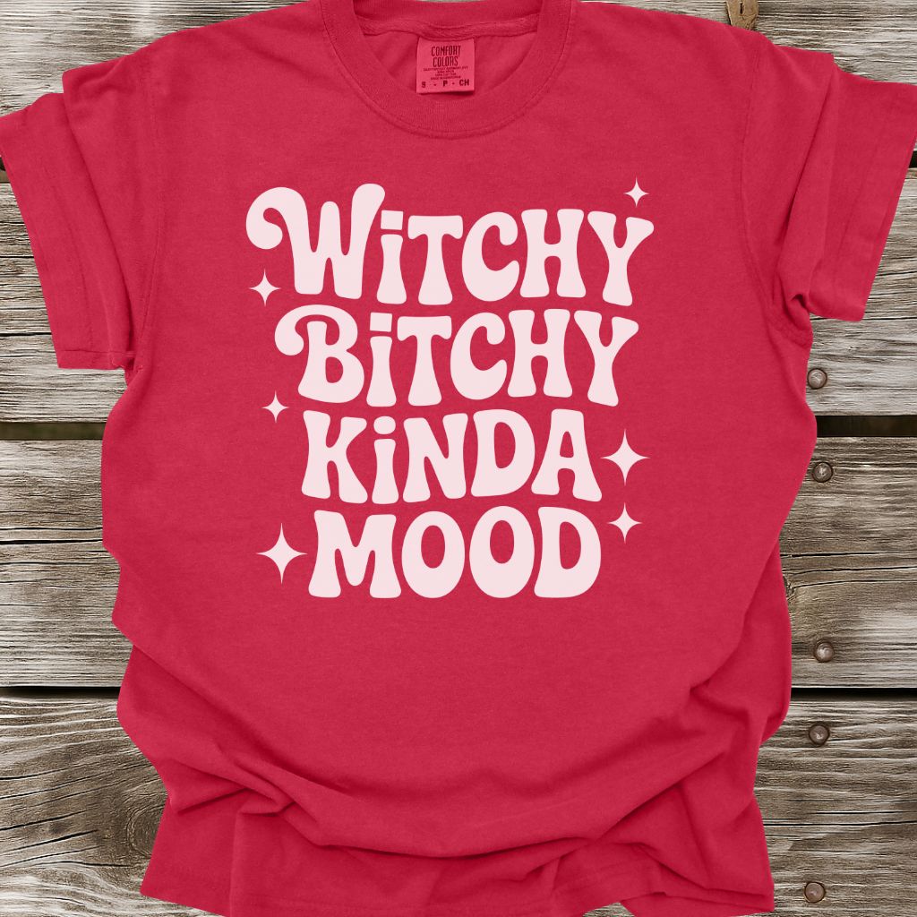 Witchy Bitchy Kinda Mood T-Shirt