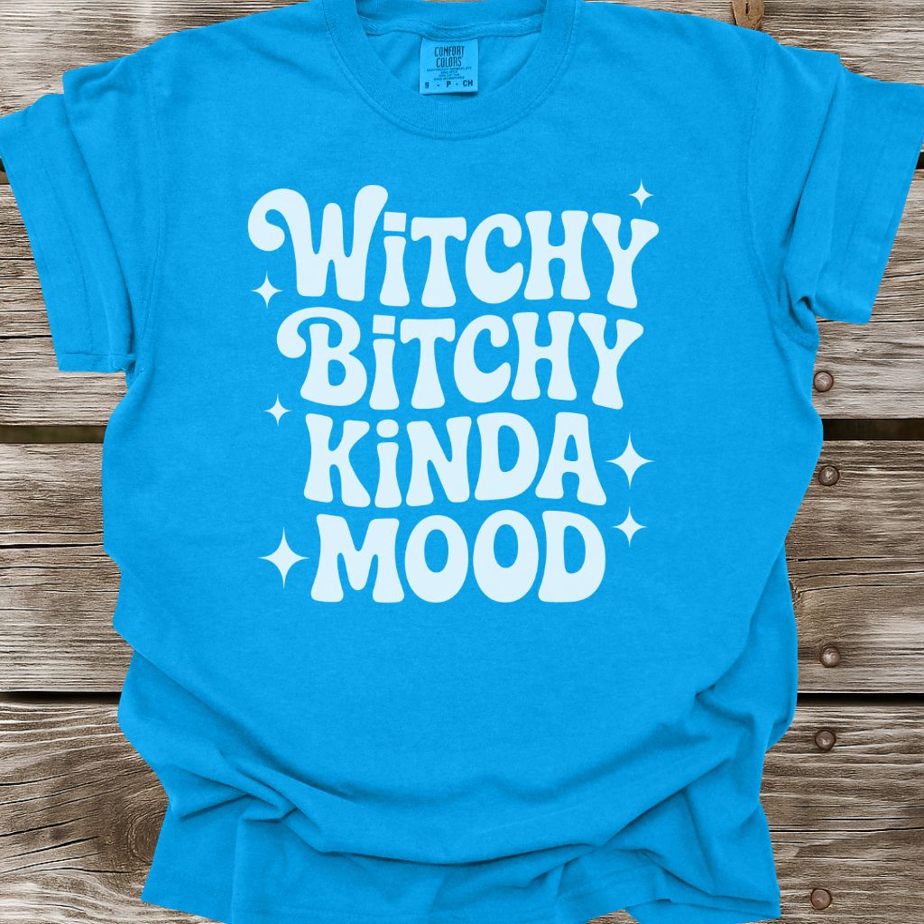 Witchy Bitchy Kinda Mood T-Shirt